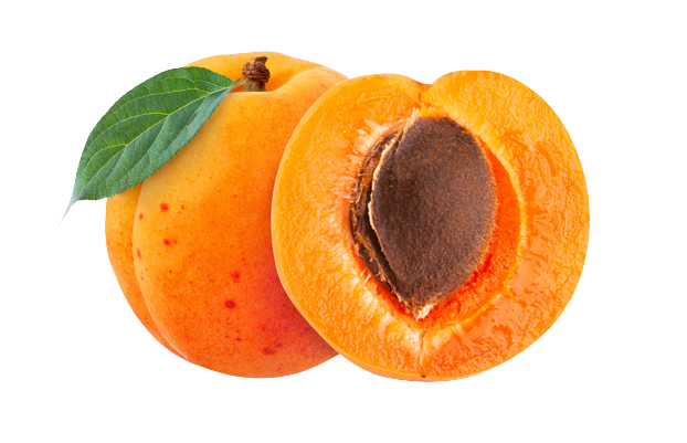 78f387042386876e5e906356a2f076a3-removebg-preview