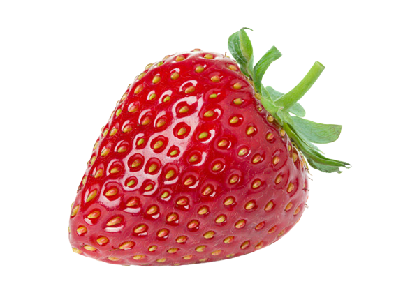 eb1ebc8d4862004-removebg-preview