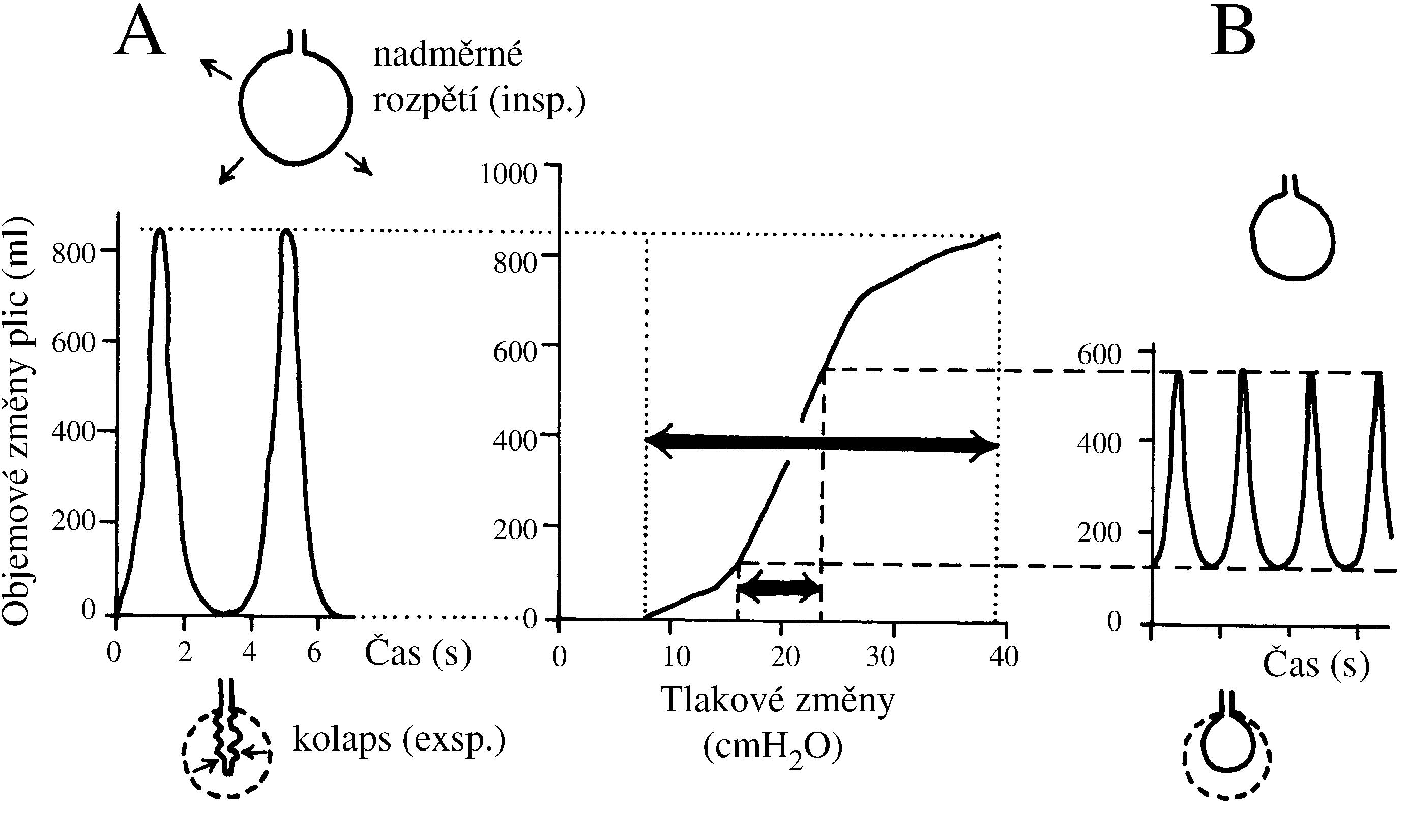 2021 Patologicka fyzio 1 Page 341 Image 0001