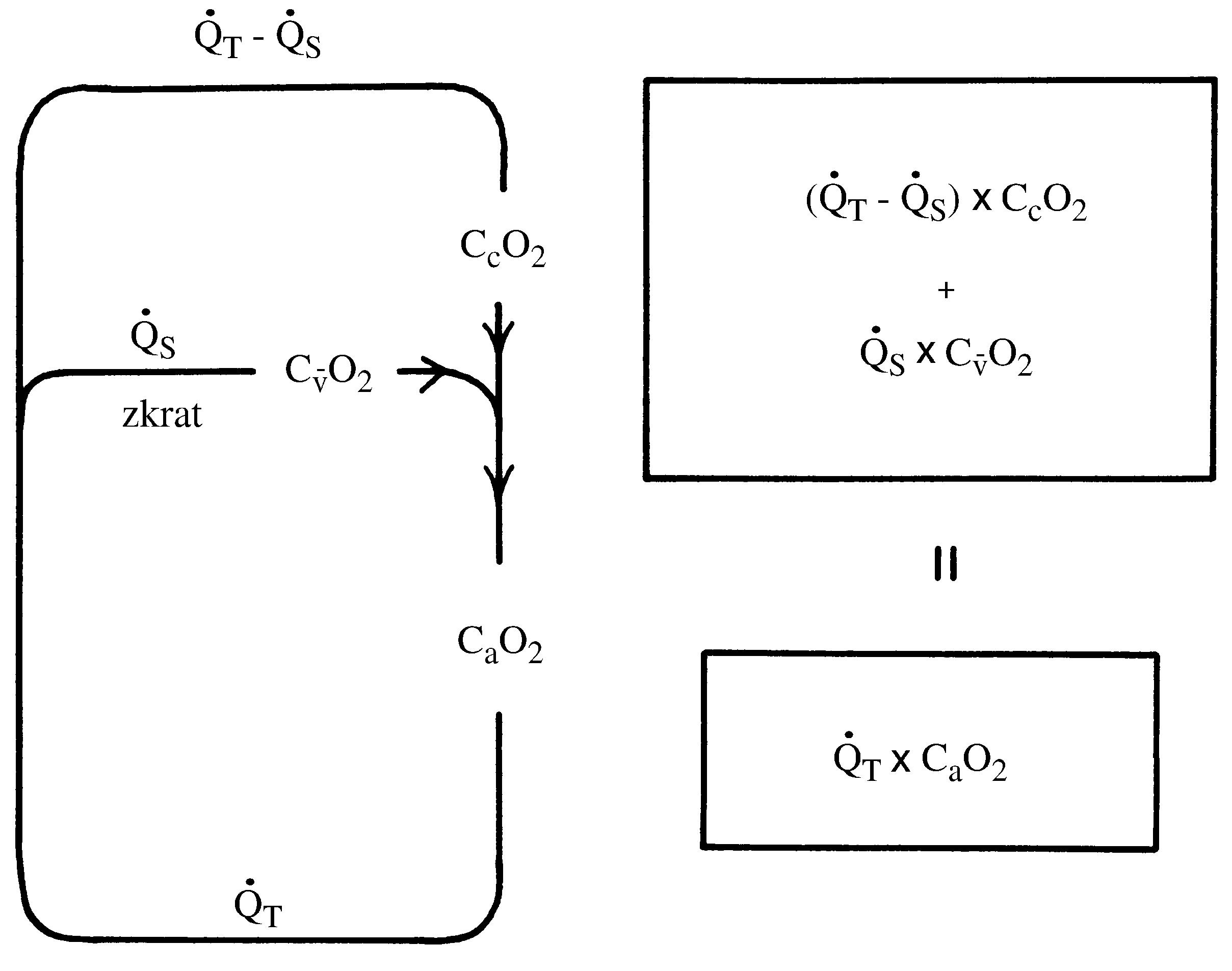 2021 Patologicka fyzio 1 Page 282 Image 0001
