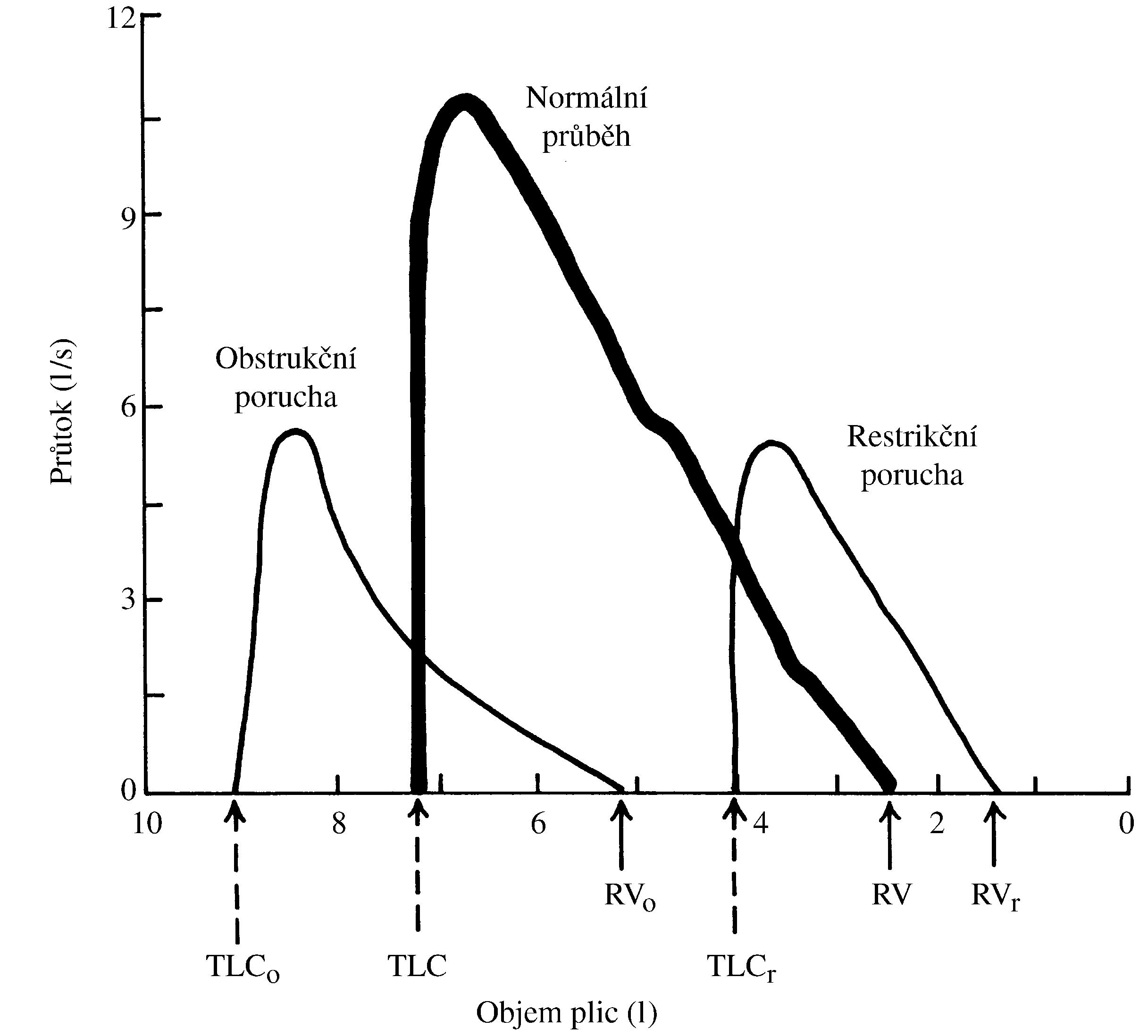 2021 Patologicka fyzio 1 Page 330 Image 0001