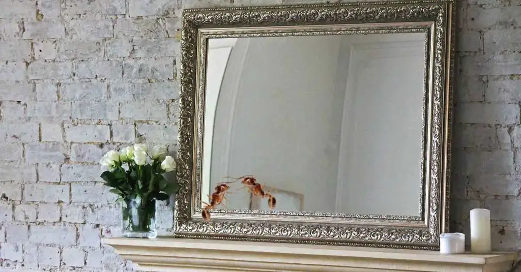 343829147 784897129657367 8406983468502462049 n