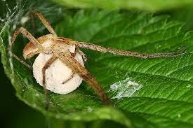 aa1c8b70-49b4-4db7-853f-c2a6bdbb20a4