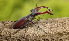 aac3c7f5-4a0f-4319-bf18-32061743077f