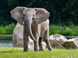 abaadfda-e7c9-4206-8af0-f46d2ca33e9d