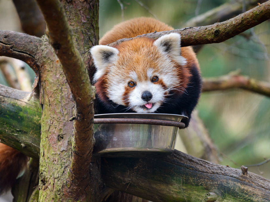 182e31e84e455069239b1b6b82d0948e-t1