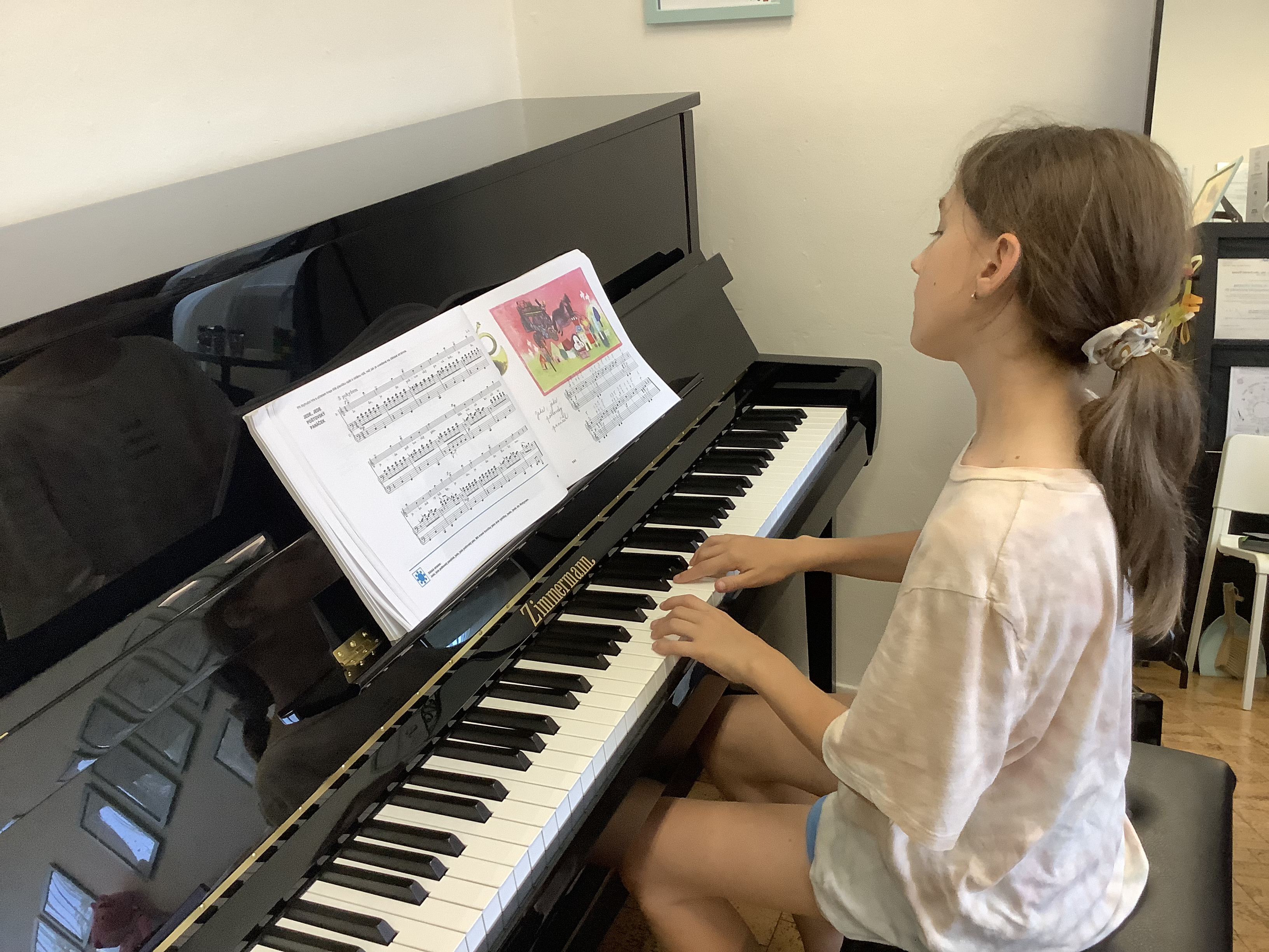 Elenka u Zimmermanna conv