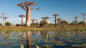 ad0d4324-4ba5-496a-bf9c-af68557697d7