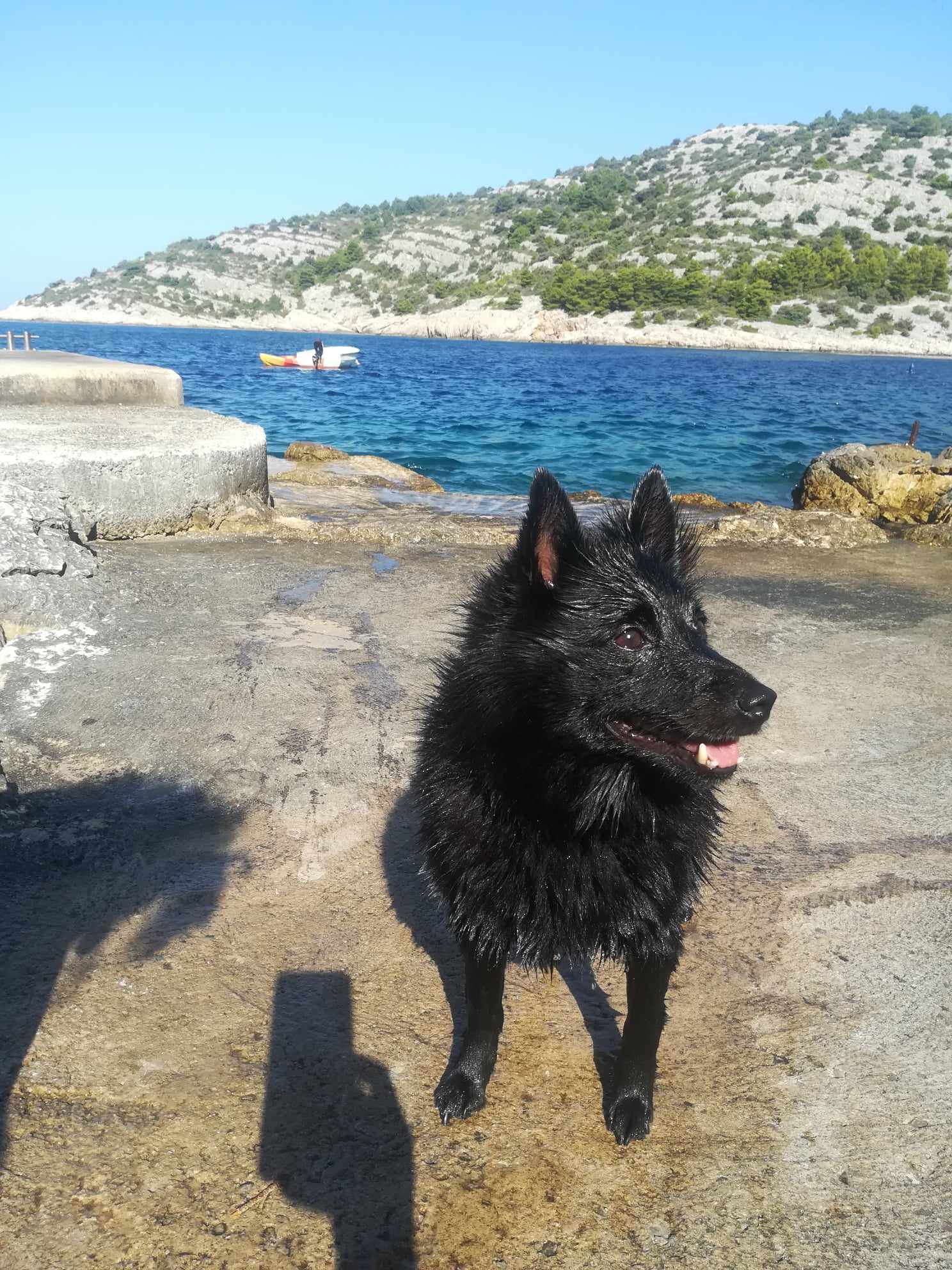 356748206 1515815269186748 9053829957404172119 n