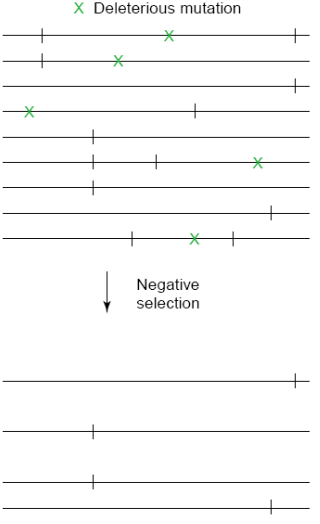 d3b4981e-a0b6-442b-bef0-43abaaee1b37