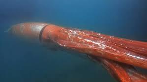 adfea85b-7293-4fc5-94e6-345af2d256d3