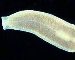 adc3a053-bb55-41b6-b0c9-48908fd7ca3f