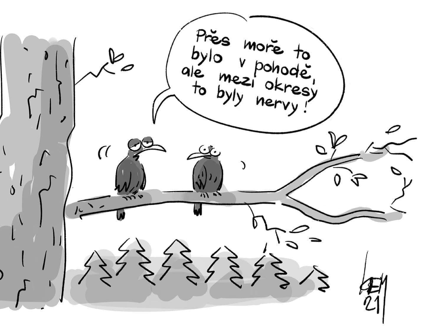 158702450 269650887984406 6231754534085657631 n