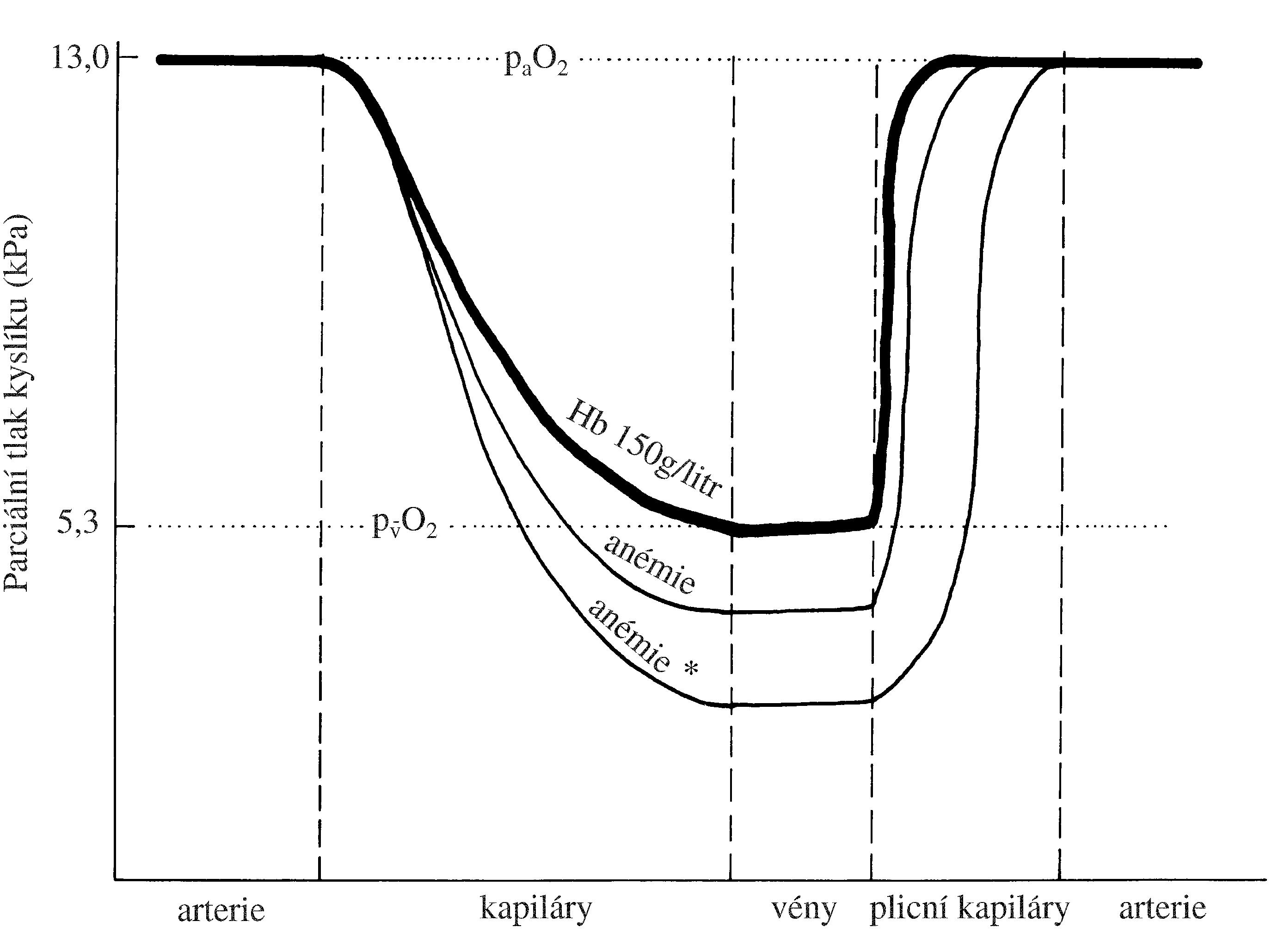 2021 Patologicka fyzio 1 Page 051 Image 0001