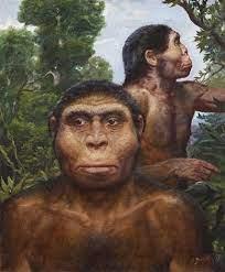 ae6f4b44-e045-4bf4-bb27-f21c0cad392e