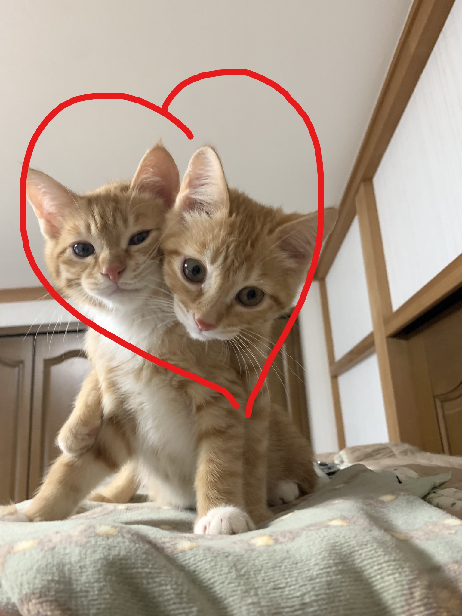 InkedFJshtrmaQAcuD4g2