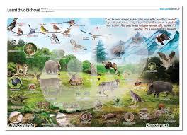 afc32ecc-0bf9-4765-a785-afd76d8ff345