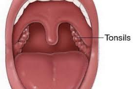 b0295518-f42e-4779-8adb-a1c4b42ef384