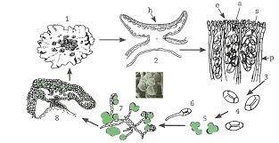 b0854632-c69d-4574-8a7b-b9d779bae001