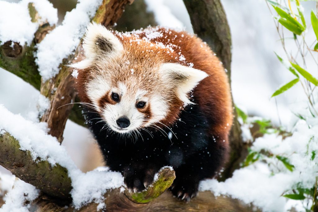 20191213 DSC3986-1024x681