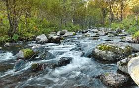 b193f68f-36b1-467c-a278-0b3ea7cc9f07