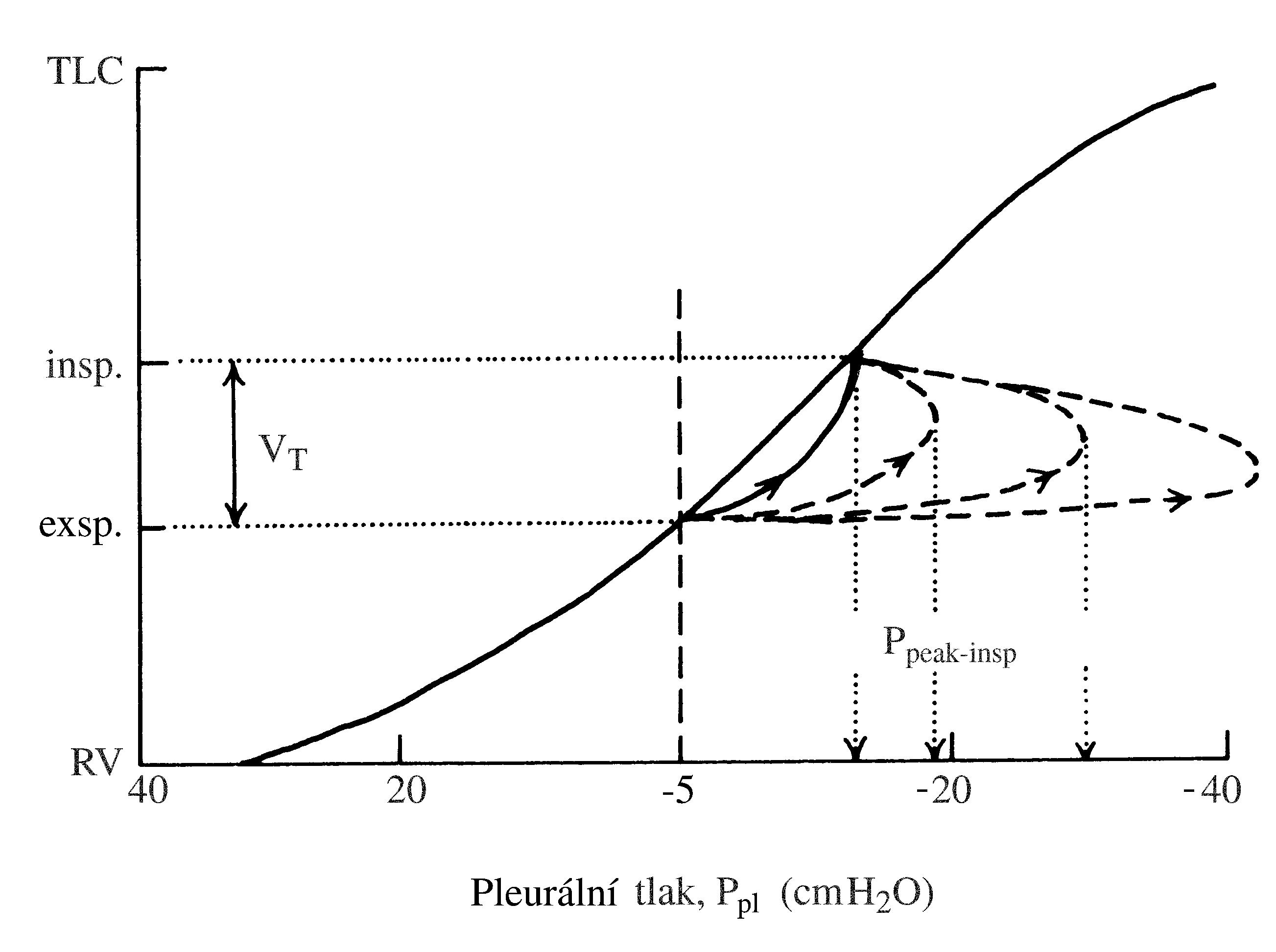 2021 Patologicka fyzio 1 Page 320 Image 0001