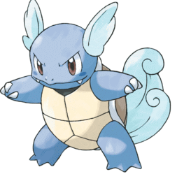 008-wartortle