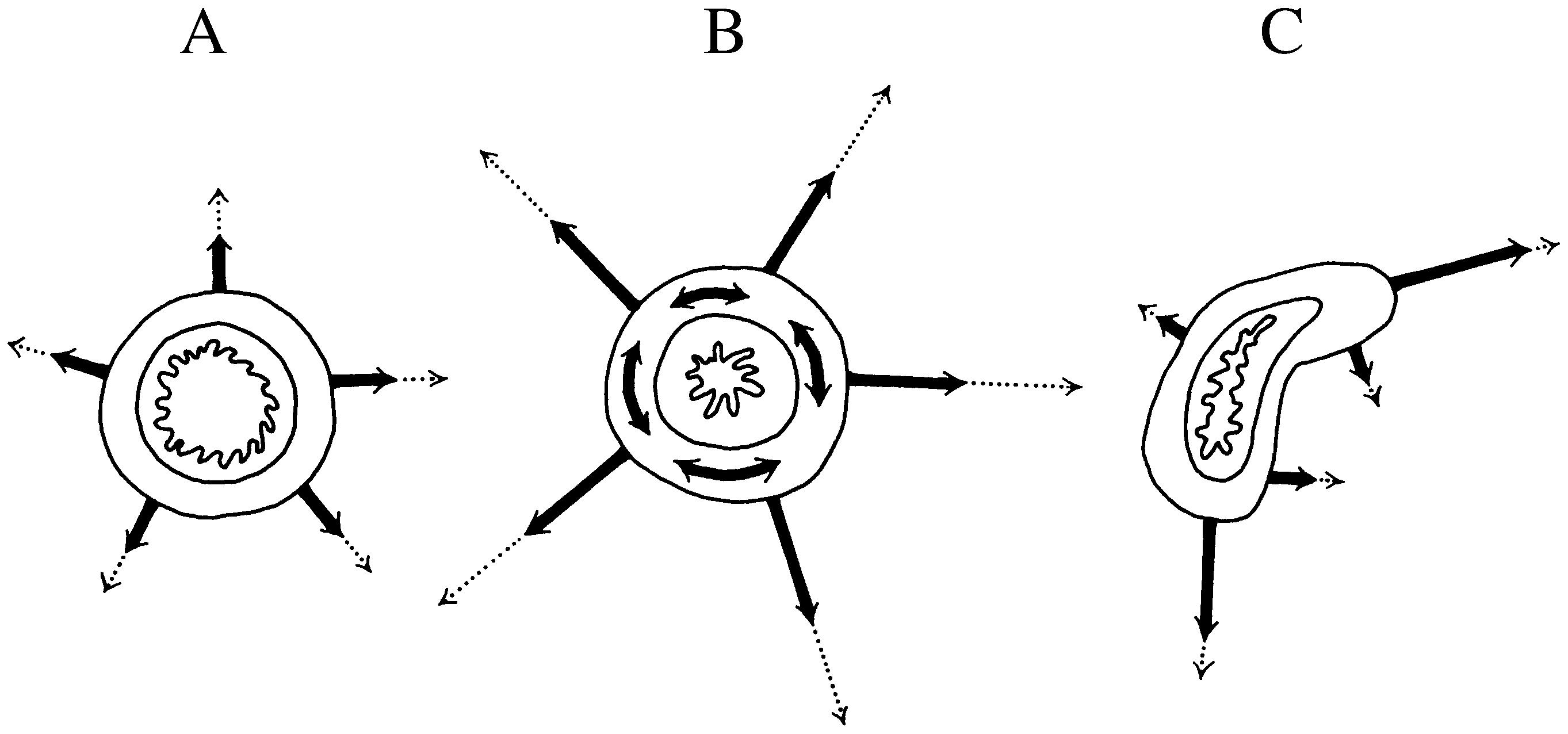 2021 Patologicka fyzio 1 Page 364 Image 0001