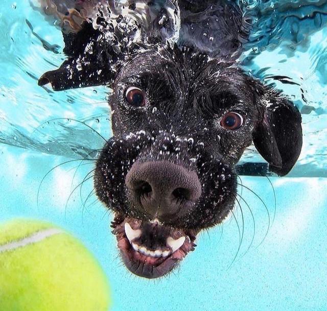 B36A9FC1-A089-4ACF-84A0-86082B16F7A8