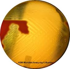 b3dbdb93-daec-4539-ab7d-e89bcc2fe7dc