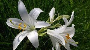 b3de7501-e189-4cbc-929f-234920295ceb