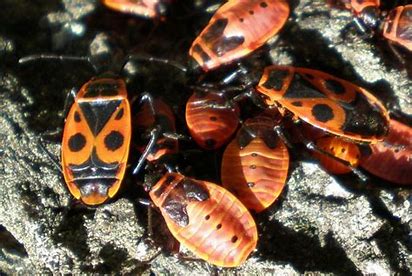 b3787f85-d1b7-4567-baca-44e83a1ccb7c