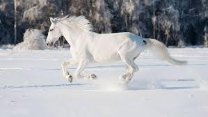 b3972340-8e7e-4f92-97fb-71843b49564f