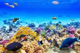 b3be3a02-13c3-450b-84bf-0c126afd1be7