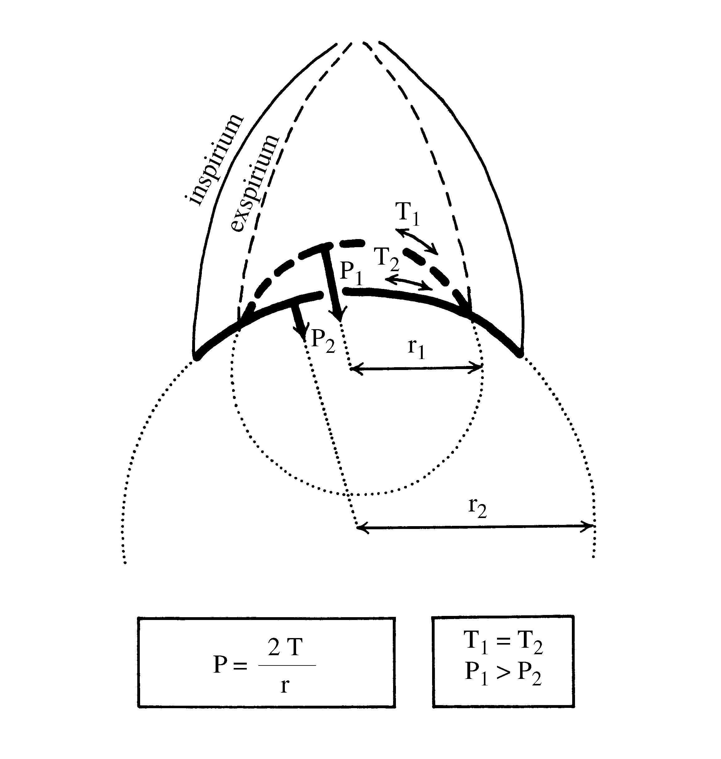 2021 Patologicka fyzio 1 Page 302 Image 0001