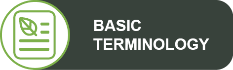 Basic terminology