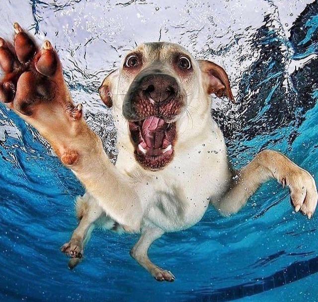 0E96BB2A-5DC6-4666-92A4-E6F3DE155FD5