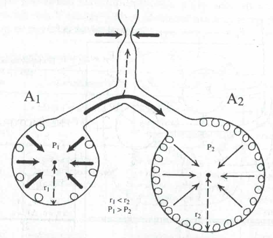 kolaterální ventilace