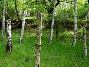 4e6f7e2d-50e75cb6-95b2-a6d11303