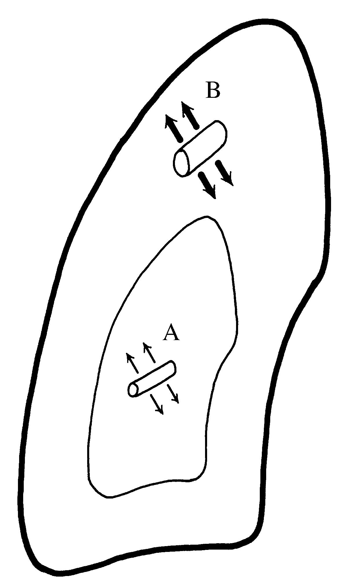 2021 Patologicka fyzio 1 Page 313 Image 0001