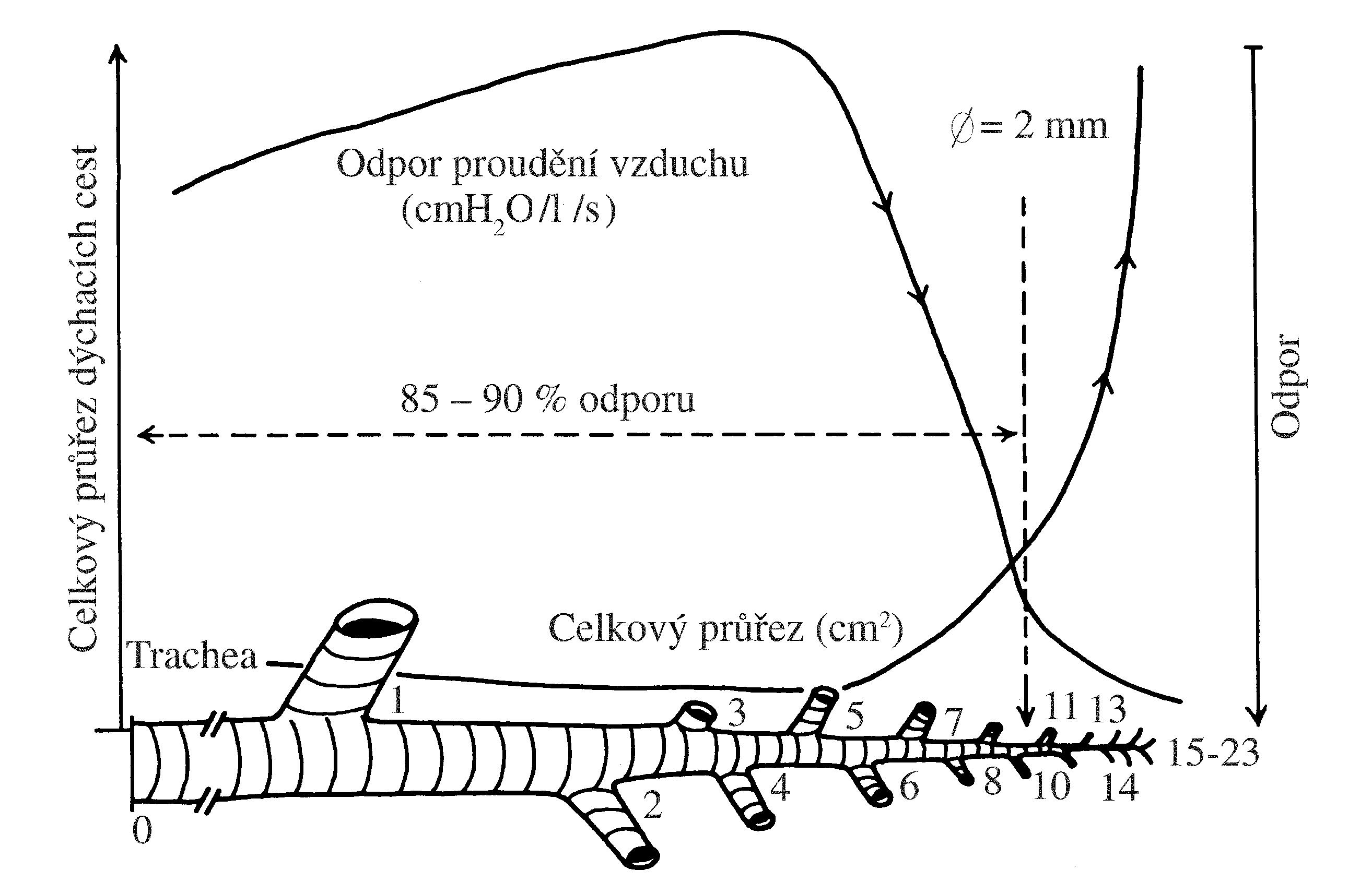 2021 Patologicka fyzio 1 Page 316 Image 0001 (1)