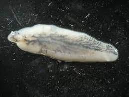 f5f15120-274b-49ca-bbaf-009e086604ea