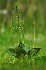 f6285427-c16f-4b98-8f9c-42661506cfdd