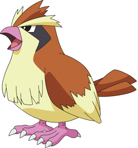 016-pidgey
