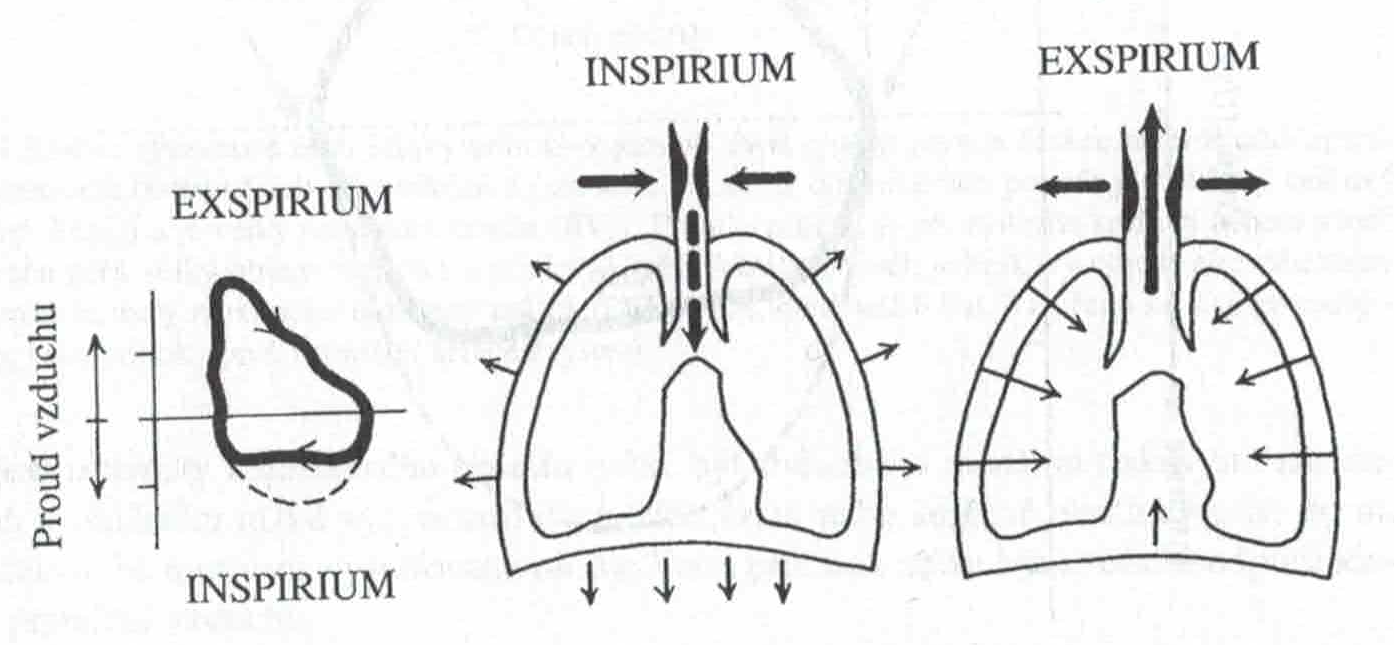 Skener 20231220 (30)