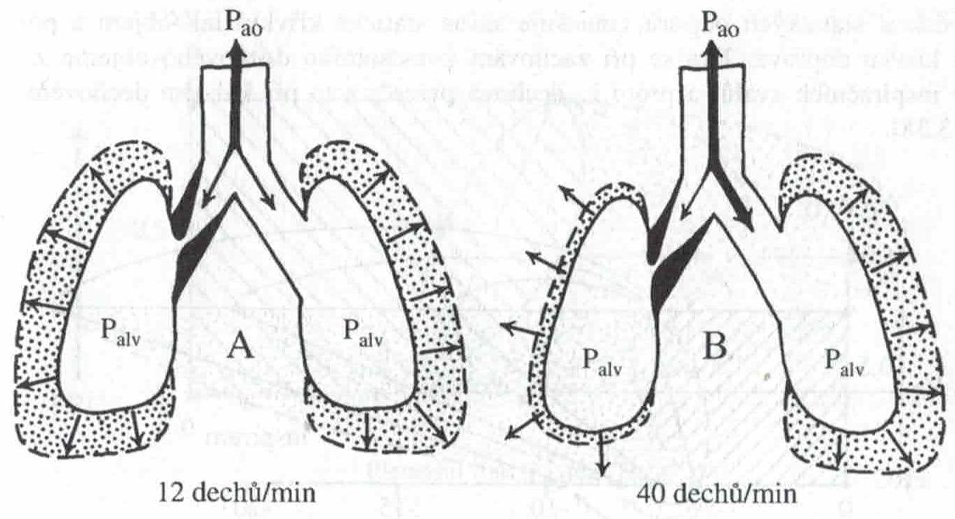 Zúžení dýchacích cest při normální frekvenci a při tachypnoe