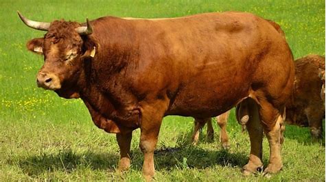 f8c4729a-562d-4065-ac80-03d91222e55d