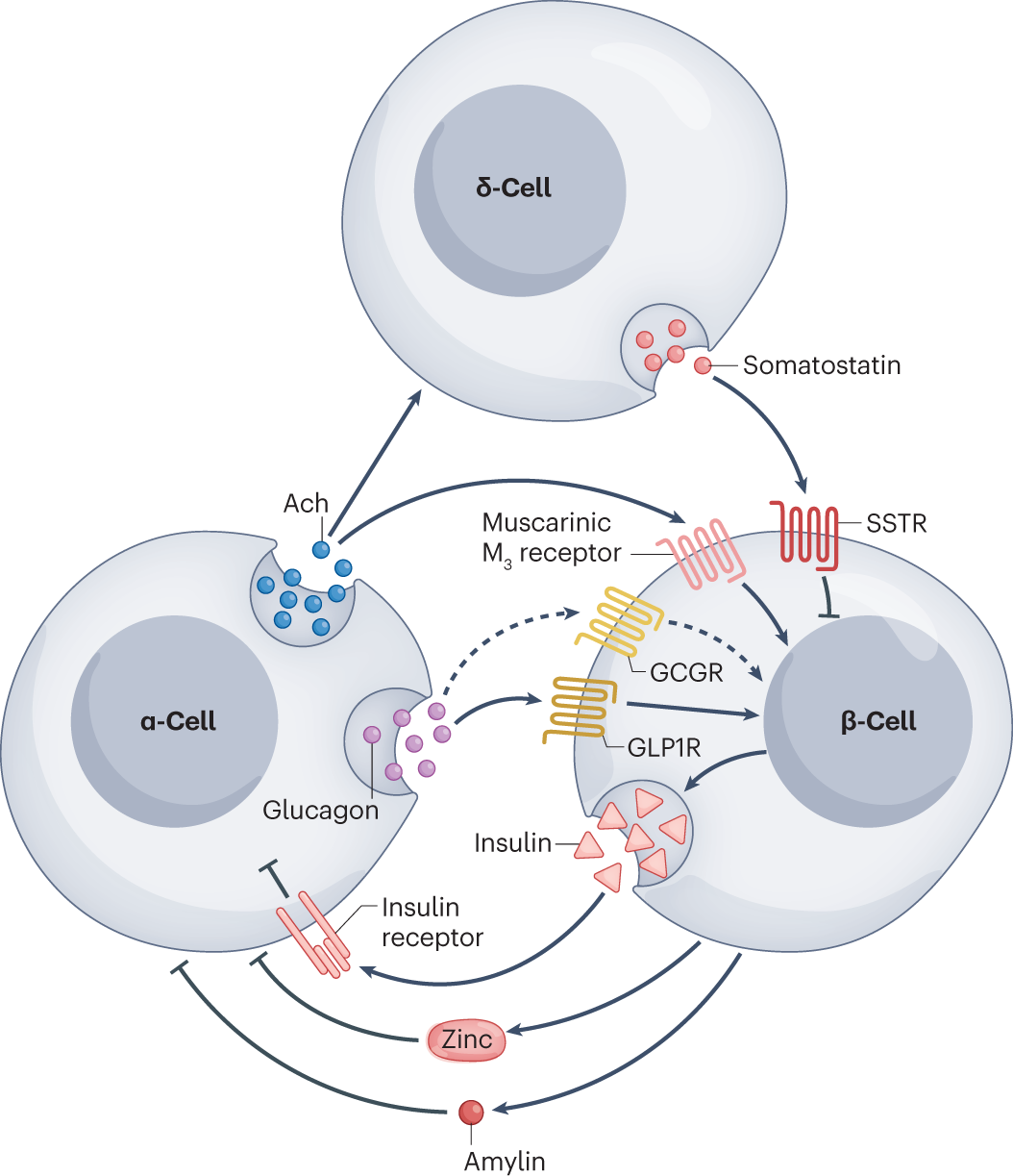 41574 2023 817 Fig4 HTML