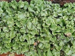 f97c5542-d60c-47be-8edb-45476b663e96