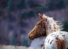 fa92b1c9-5ab0-4b99-9698-f91d5b126a47